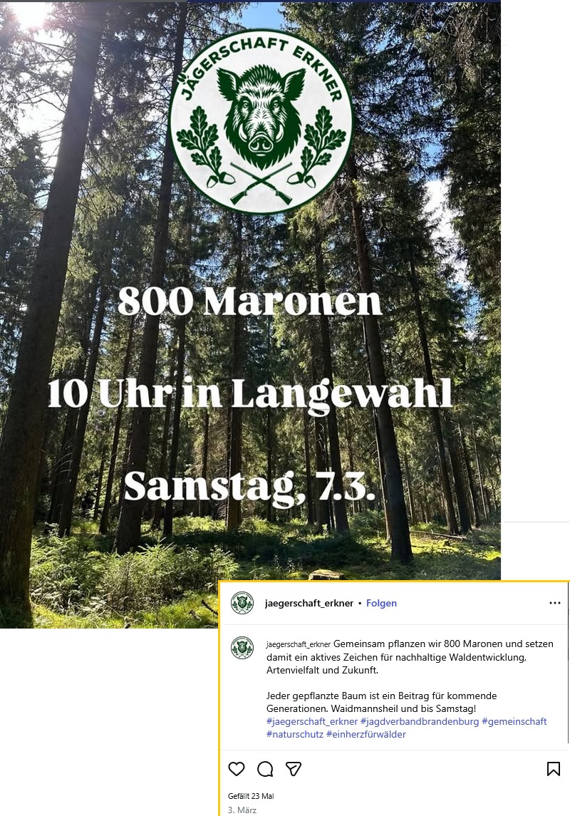 Screenshot eines Instagram-Posts, Umriss leicht bearbeitet